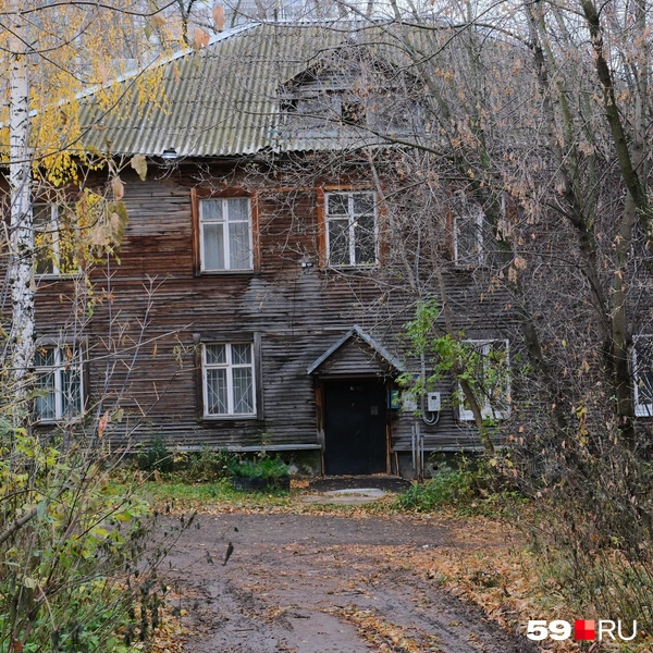 Источник: Тимофей Калмаков / 59.RU