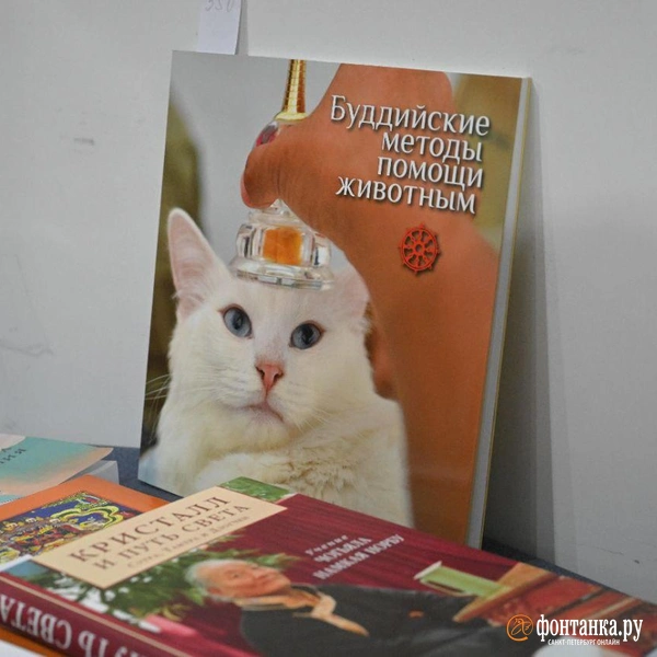 Источник: Андрей Бок / «Фонтанка.ру»