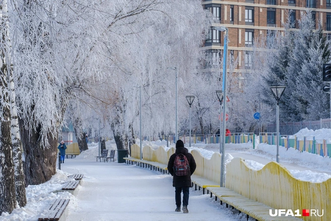 Гулять — одно удовольствие | Источник: Булат Салихов / UFA1.RU