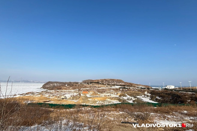 Источник: Елена Буйвол / VLADIVOSTOK1.RU