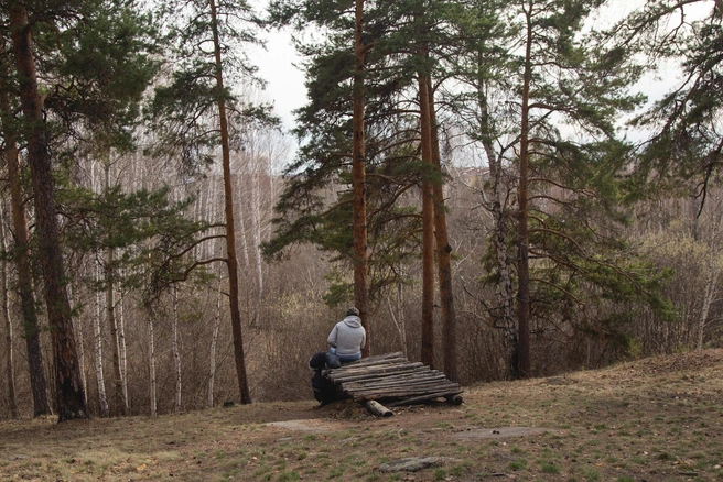 Городской бор — излюбленное место отдыха у многих челябинцев | Источник: Екатерина Тычинина / 74.RU