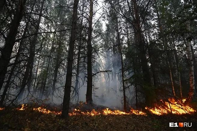 Безобидное сжигание мусора может привести к огромной беде | Источник: Марина Молдавская / E1.RU