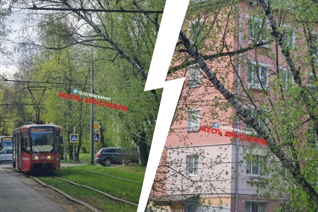 В Ярославле из-за поваленного дерева встали трамваи | Источник: «Жесть Ярославль» / Telegram