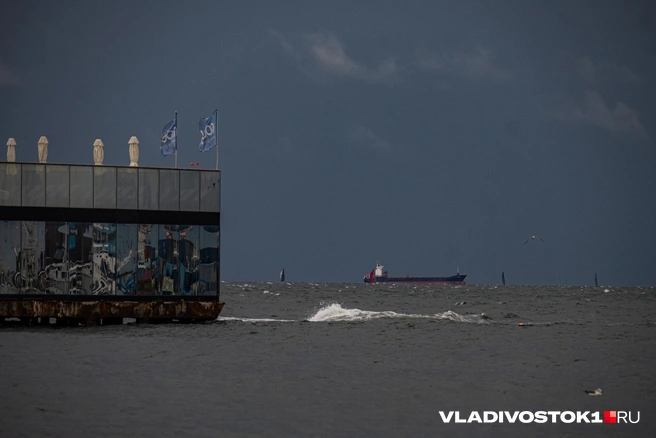 Источник: Елена Буйвол / VLADIVOSTOK1.RU