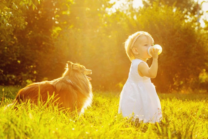 Источник: Vagengeim/Shutterstock/Fotodom.ru