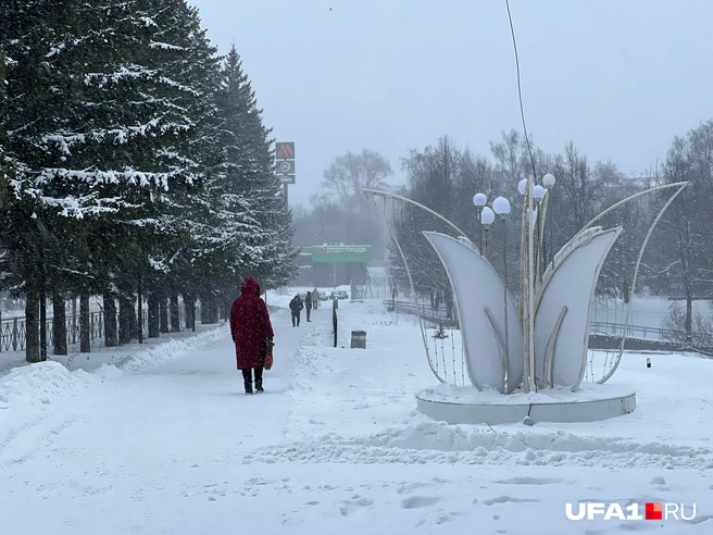 Тот же парк | Источник: Андрей Бирюков / UFA1.RU