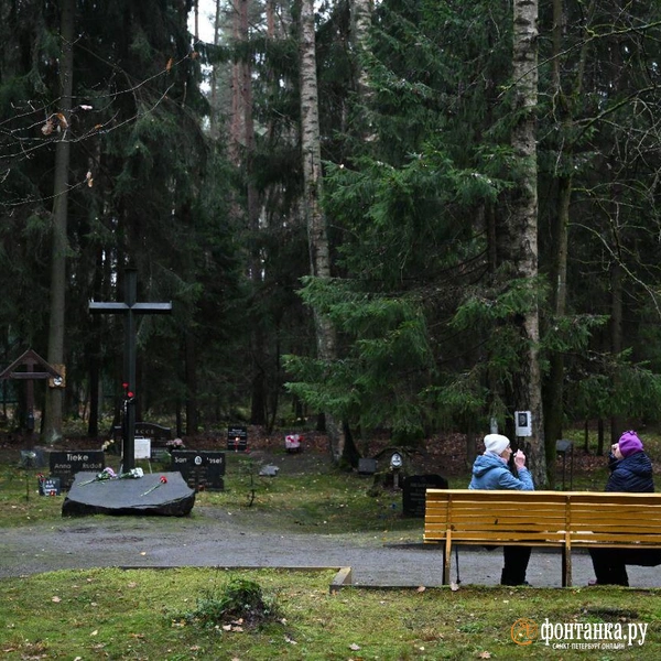 Источник: Андрей Бок / «Фонтанка.ру»