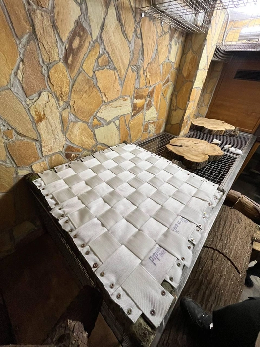 Источник: пресс-служба Ленинградского зоопарка