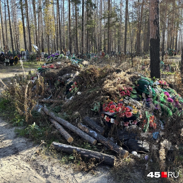 Источник: Кирилл Митин