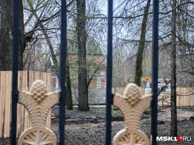 За забором | Источник: Дмитрий Бондарев / MSK1.RU