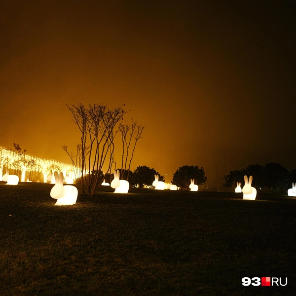 Источник: Дарья Паращенко / 93.RU