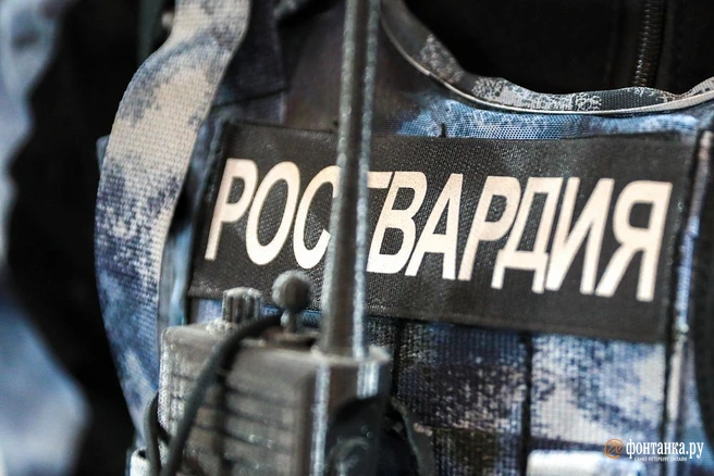 Принят закон о добровольческих формированиях Росгвардии и службе в ФСБ: что изменилось | Источник: «Фонтанка.ру»