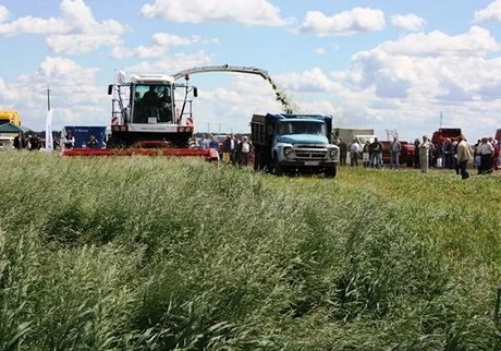 С начала года в Рязани получили 134 тыс. тонн молока | ya62.ru