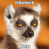 userpic__Agnessa26