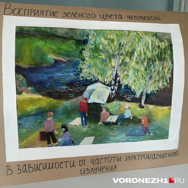 Восприятие цветов человеком — физический процесс | Источник: Андрей Пашинский / Voronezh1.ru