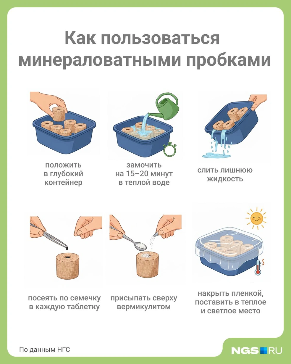 Источник: Юрий Орлов / Городские медиа