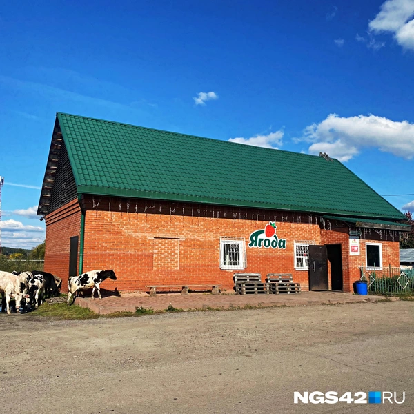 Источник: Елизавета Богатырева / NGS42.RU