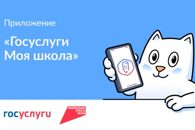 43,5 тыс. пользователей «Госуслуги. Моя школа» в Пензенской области