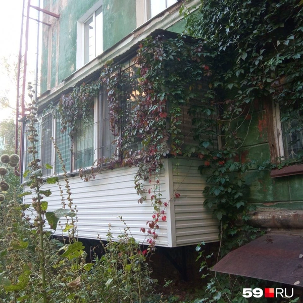 Источник: Вероника Свизева / 59.RU 