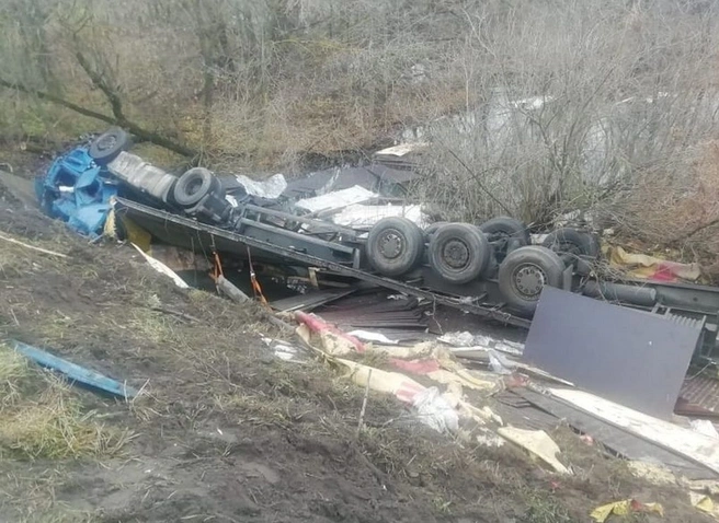 В Сасовском районе опрокинулась фура | 62.ru