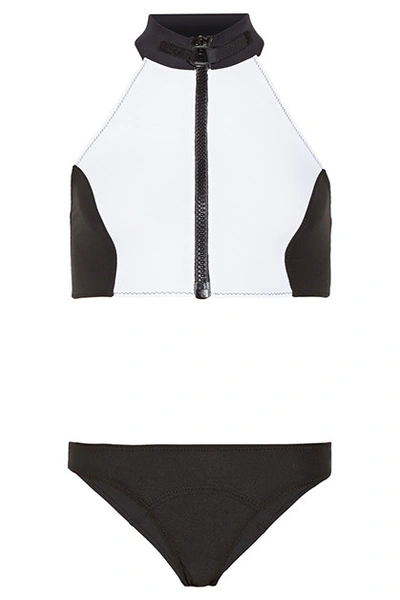 LISA MARIE FERNANDEZ