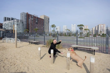 Площадка для дрессировки собак | Источник: Евгений Шаров