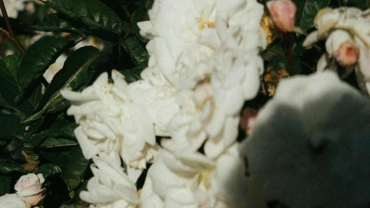 Источник: Unsplash