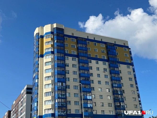 Один серый, другой белый | Источник: Андрей Бирюков / UFA1.RU