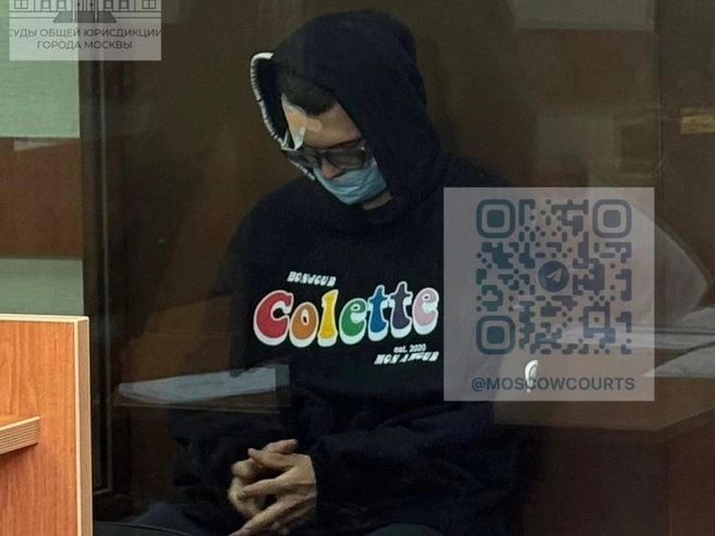 Никита Ефремов в зале суда | Источник: Суды общей юрисдикции города Москвы / T.me