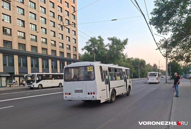 Поездки стоят одинаково на любом виде транспорта | Источник: Алёна Воропаева / Voronezh1.ru