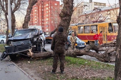 В Екатеринбурге Lexus врезался в дерево и остановил трамваи