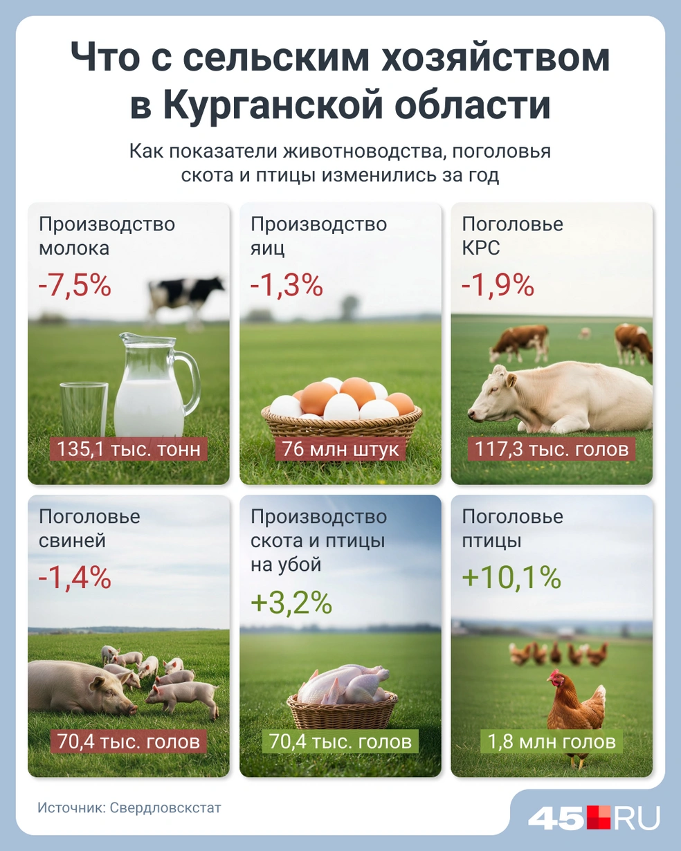 Источник: Мария Романова / Городские медиа