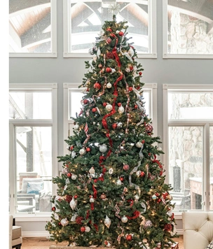 Как выбрать елку на Новый год