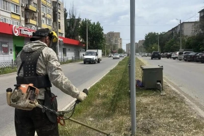 В Астрахани с начала года выкосили почти 128 гектаров сорной растительности
