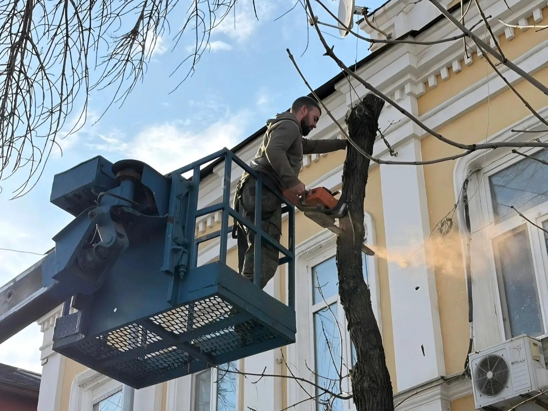 В Самаре посадят 1 600 деревьев. Где именно