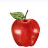 userpic__Murena
