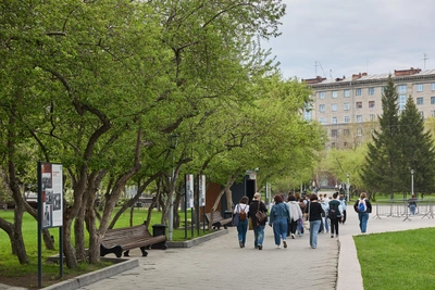 Жара до +29°С сменится похолоданием в Новосибирске