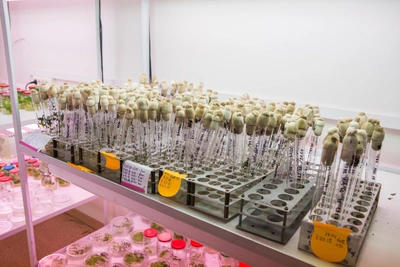 Химфак ИГУ ждет абитуриентов 12 апреля: более 300 заявок