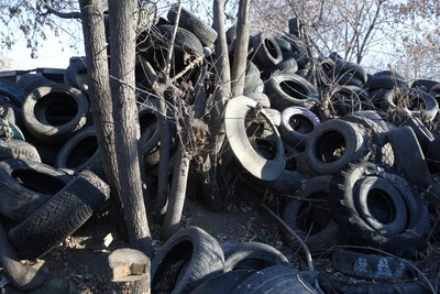 «Мы бьем по хвостам»: в Казани предлагают повысить штрафы за свалки