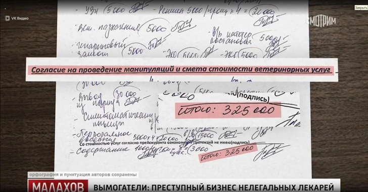 Семья Теренюк осталась должна круглую сумму за собаку, которую так и не вылечили