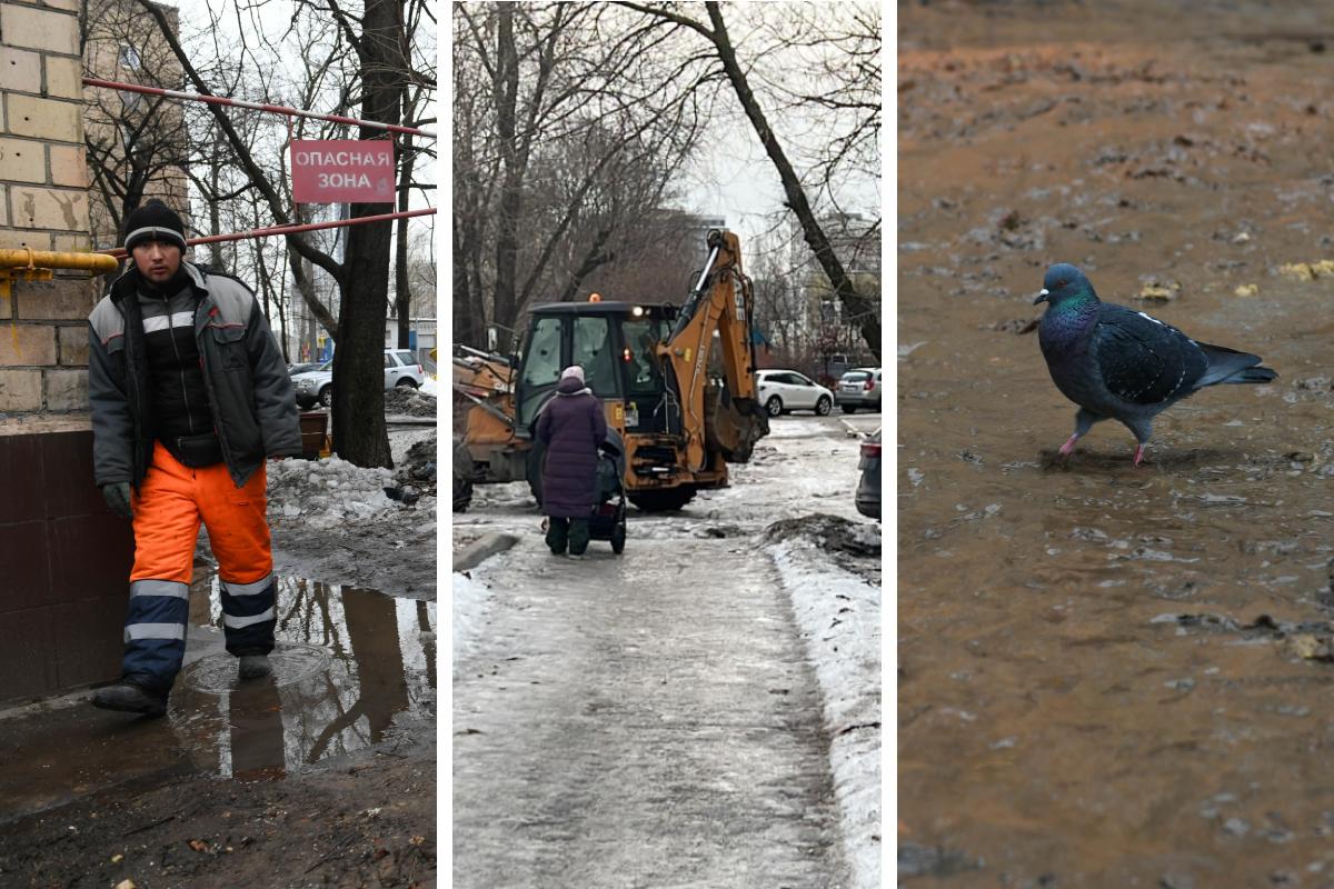 Гололед и каши грязи: жители Москвы жалуются на уборку территории возле  домов 25 января 2023 - 25 января 2023 - МСК1.ру