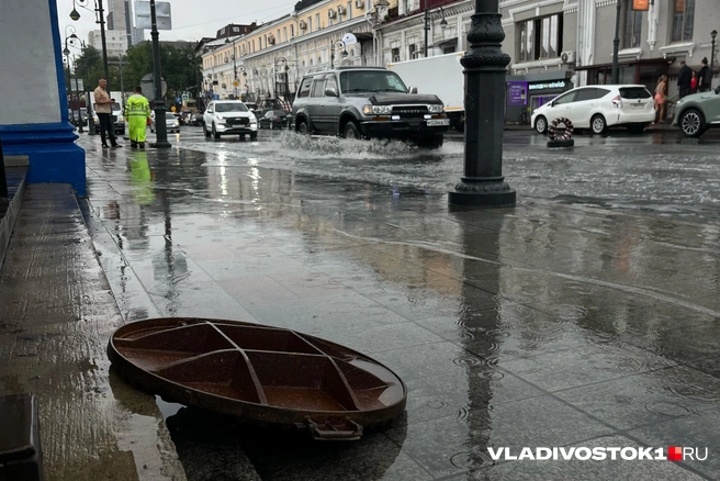 Подует сильный ветер | Источник: Елена Буйвол / VLADIVOSTOK1.RU