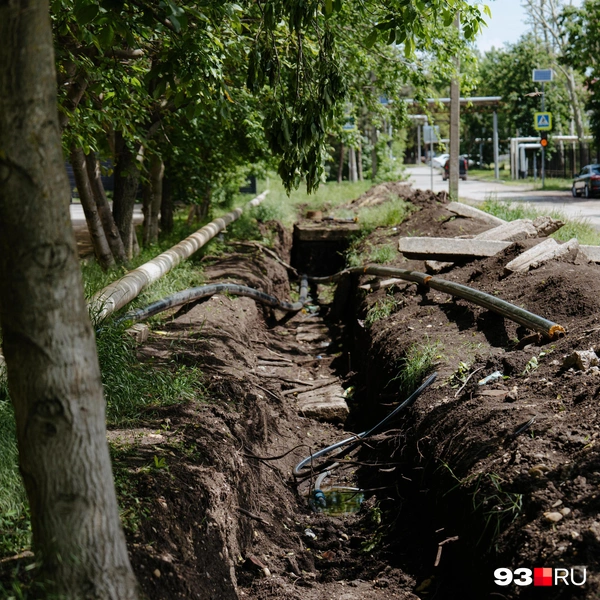 Есть и разрытые заброшенные участки | Источник: Дарья Паращенко / 93.RU