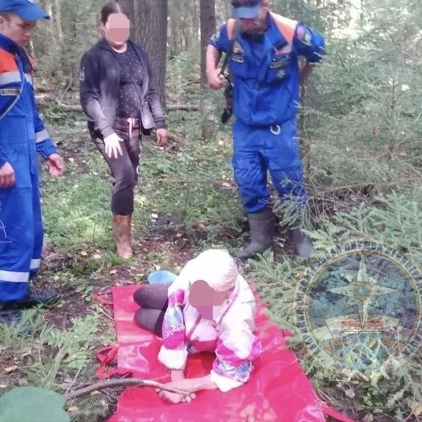 В Ленобласти пчелы покусали женщину так, что она не смогла сама выйти из леса | Источник: Аварийно-спасательная служба ЛО/Telegram