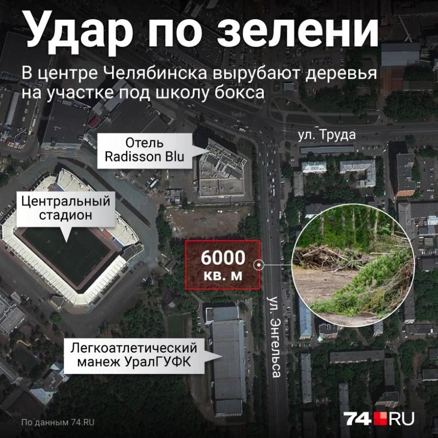 Источник: Полина Авдошина