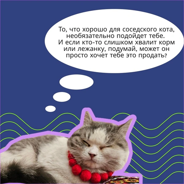 Источник: Банк России в ЦФО / Вконтакте