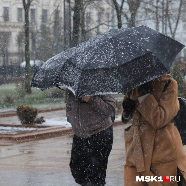 Источник: Артем Устюжанин / MSK1.RU