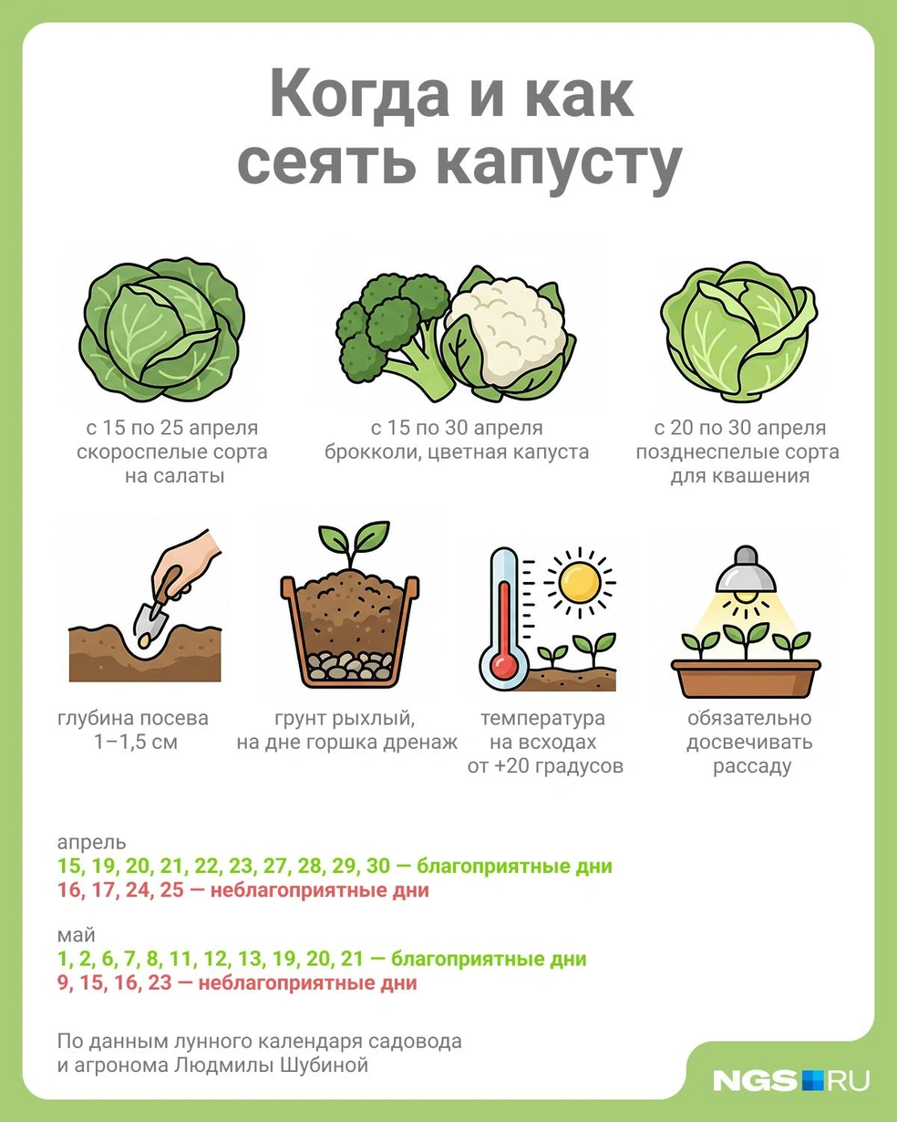 Источник: Юрий Орлов / Городские медиа