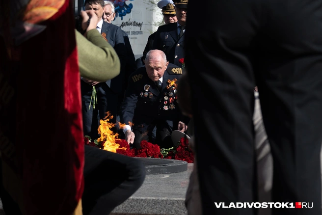 Источник: Елена Буйвол / VLADIVOSTOK1.RU