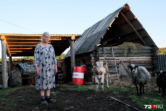 Хамарья сама ухаживает за хозяйством и говорит, что возраста не чувствует, у нее еще много сил | Источник: Анастасия Малышкина / 72.RU